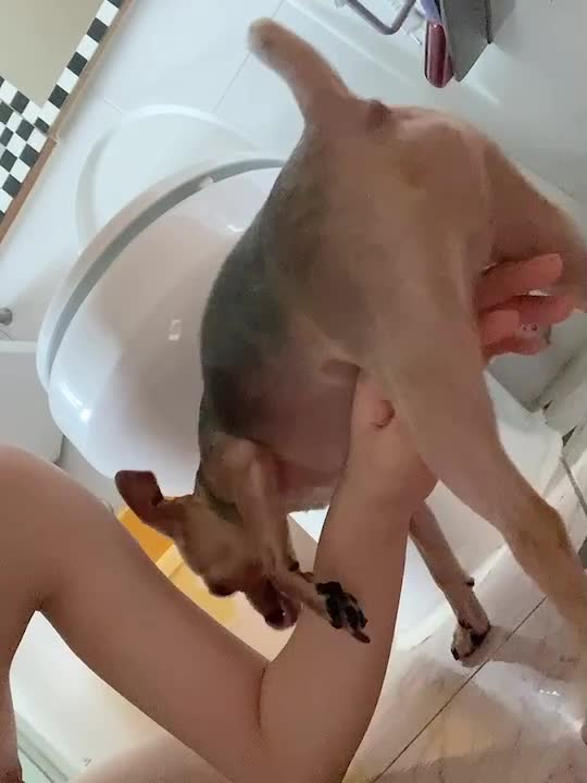 개고추빠는 노예녀 (21) 썸네일